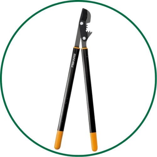 branch loppers