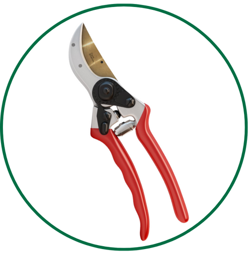 pruning shears