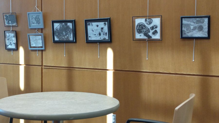 Local Artist Display